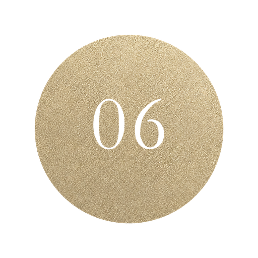 06